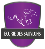 Ecurie des Sauvlons - ecurie