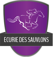 Ecurie des Sauvlons - ecurie