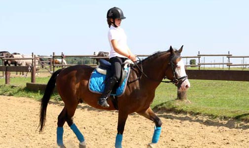 Ecurie des Sauvlons - Poney Club